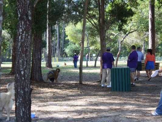St. Mary's Dog Park photo 1